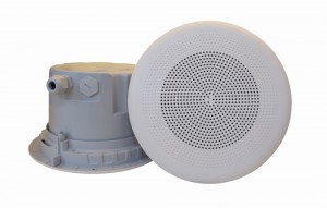 DNH įmontuojamas garsiakalbis BPF-560 T, 70/100 voltų - Garsiau.lt