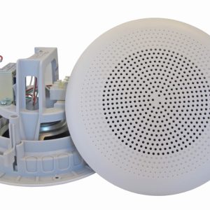 DNH įmontuojamas garsiakalbis BP-660, 8 omų
